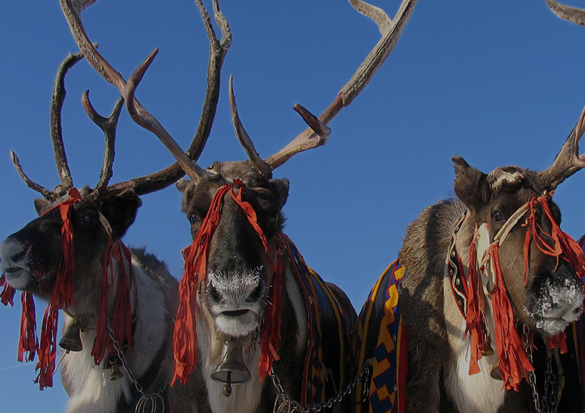 Reindeer Herders Festival